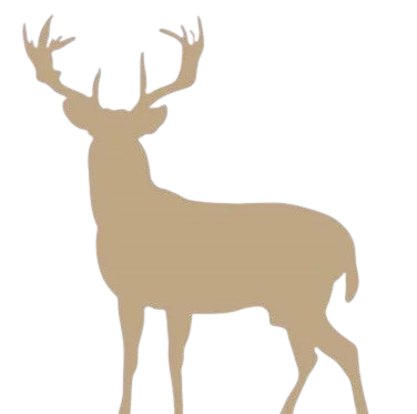 jelen-removebg-preview-removebg-preview